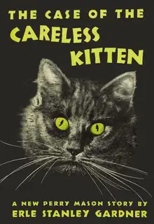 The Case of the Careless Kitten