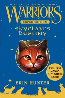 SkyclanвЂ™s Destiny