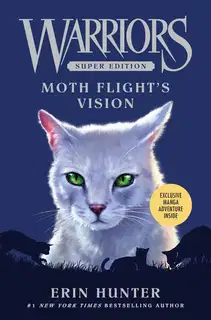 Moth FlightвЂ™s Vision