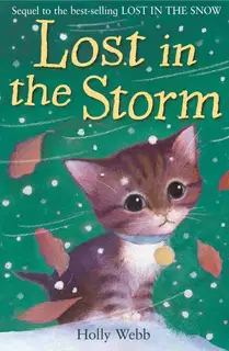 Lost In The Storm