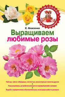 Выращиваем любимые розы
