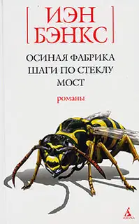 Шаги по стеклу
