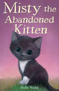 Misty The Abandoned Kitten