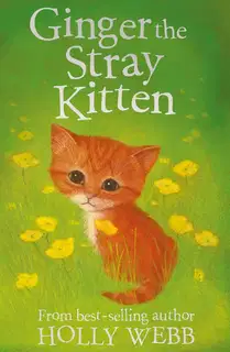 Ginger The Stray Kitten