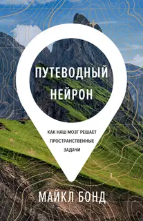 Путеводный нейрон. Как наш мозг решает пространственные задачи